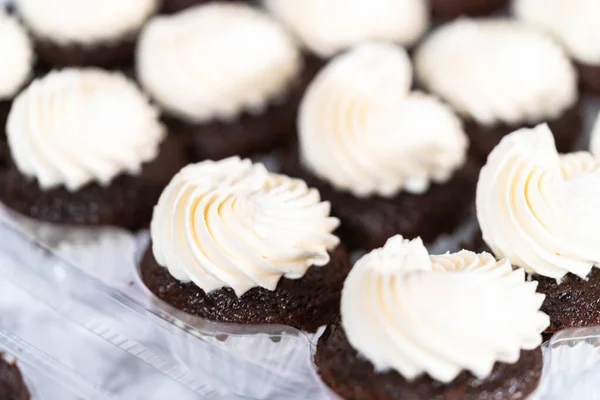 Csokoládé Mini Sütemények Olasz Vajkrém Cukormázas Cupcake Műanyag Dobozban — Stock Fotó
