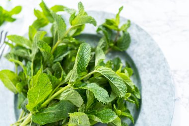 Mermer bir arka planda organik bahçeden taze nane..