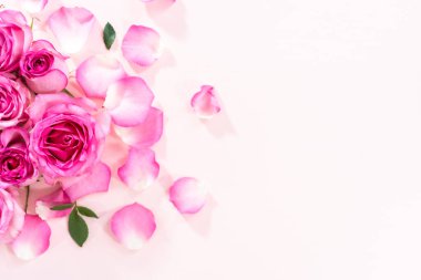 Düz yatıyordu. Pembe güller ve pembe arka planda gül yaprakları.