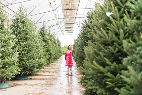 Menina Vestido Vermelho Fazenda Árvore Natal — Fotografia de Stock