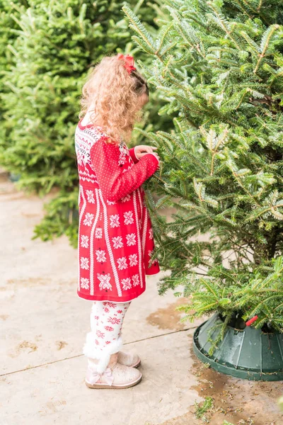 女の子で赤いドレスでクリスマスツリーファーム — ストック写真