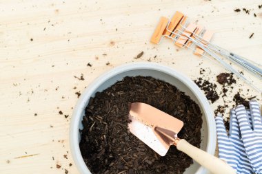 Üst toprağı olan küçük bir saksı ve ahşap bir masada küçük bir bahçe küreği..