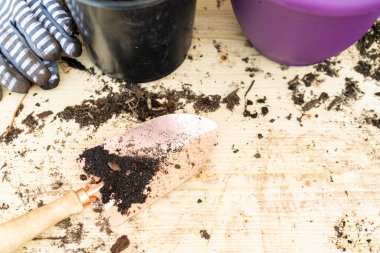 İlkbaharın sonlarında saksılara çiçek ekiyorum..