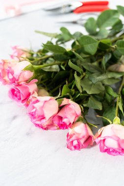 Beyaz arka planda taze pembe gülleri kapat.