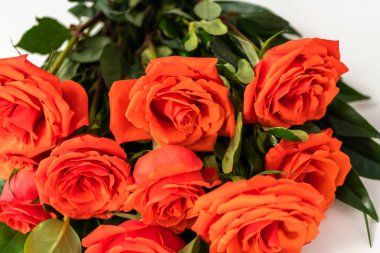 Manzarayı kapat. Beyaz arka planda kırmızı buket.