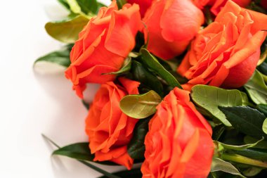 Manzarayı kapat. Beyaz arka planda kırmızı buket.