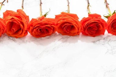 Mermer zemin üzerinde kırmızı bir buket.