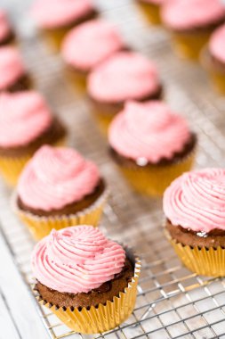 Ahududu krem peynirli kremalı çikolatalı kekler..