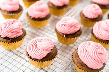 Ahududu krem peynirli kremalı çikolatalı kekler..