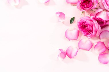 Düz yatıyordu. Pembe güller ve pembe arka planda gül yaprakları.