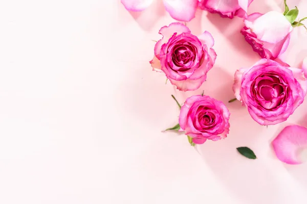 Plat Gelegd Roze Rozen Rozenblaadjes Een Roze Achtergrond — Stockfoto