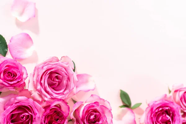 Plat Gelegd Roze Rozen Rozenblaadjes Een Roze Achtergrond — Stockfoto