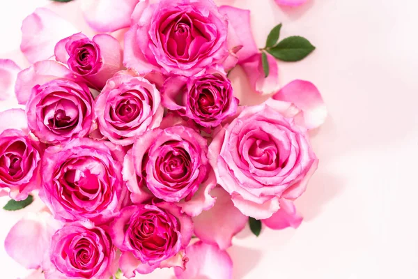 Flat Lay Pink Roses Rose Petals Pink Background — Stock Photo, Image