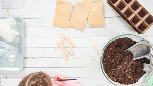 Piatto Bambina Che Aiuta Piantare Semi Erbe Piccoli Contenitori Progetto — Foto Stock