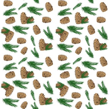 Çam kozalakları ve sedir dallarının vektör deseni