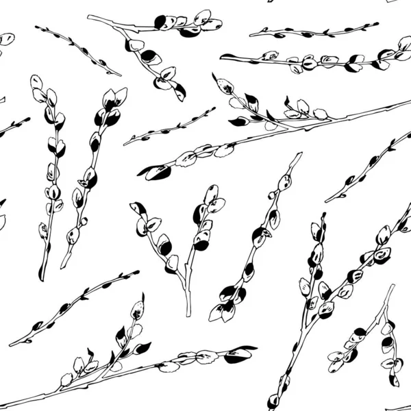 Patrón blanco y negro de ramas de sauce. Ilustración de un vector con ramas — Archivo Imágenes Vectoriales
