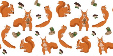 Protein ve koni ile renksiz desen. Bir grup sincabın olduğu bir resim.