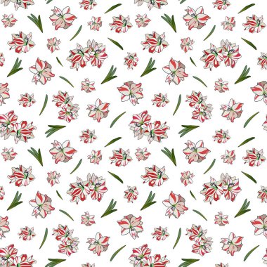 Hippeastrum renklerinin renksiz deseni. Tekstil ve ambalaj için çiçek tomurcukları. Gazete için arkaplan.