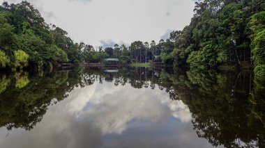 Yağmur ormanları keşif Merkezi içinde Sepilok, Borneo gölde