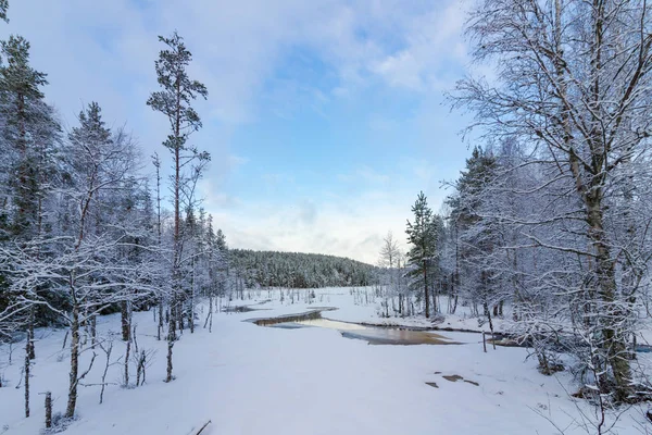 눈 덮여 얼어붙은 호수, Hedmark 노르웨이 숲 — 스톡 사진