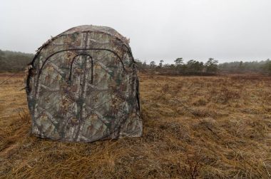 Orman Tavuğu lek camoflage çadırı. Nisan ayı başlarında sabahın erken saatlerinde. Bahar