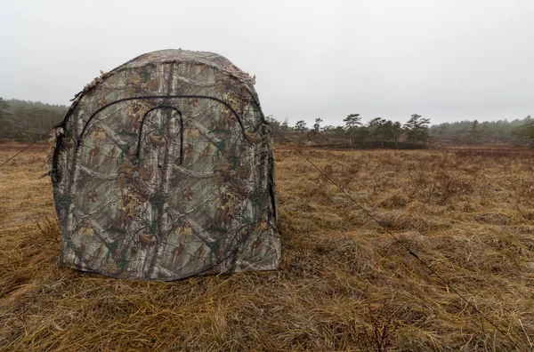 Orman Tavuğu lek camoflage çadırı. Nisan ayı başlarında sabahın erken saatlerinde. Bahar