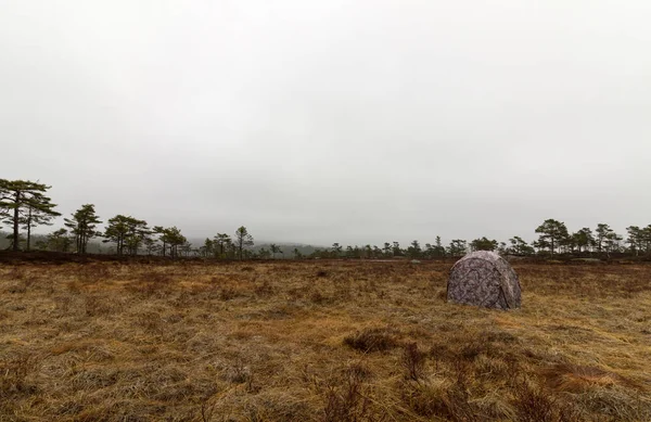Camouflaged hunting blind ready for the photography hunt at the grouse lek place. — Stock Photo, Image