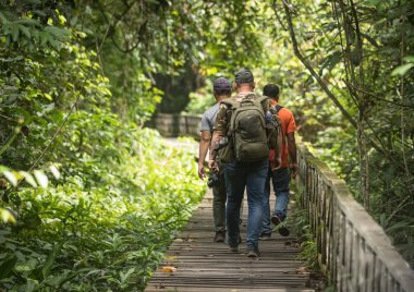 Tahta Niah Milli Parkı'nda Sarawak Malezya, turistler, arka üç kişiden yürüyüş yürüdü