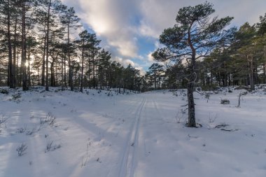 Kış manzara Norveç'te Kayak parça
