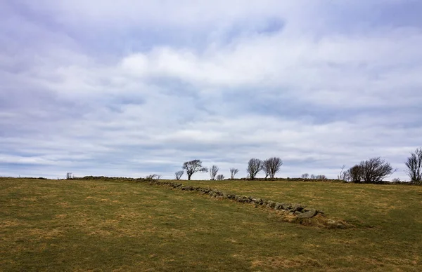 Gras, Steinzaun, Bäume und Himmel bei lista, in Südnorwegen — Stockfoto