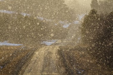 Arkadan aydınlatmalı kar parçacıklar bir eğri ülke yolda karlı havalarda aracılığıyla ışık parlar