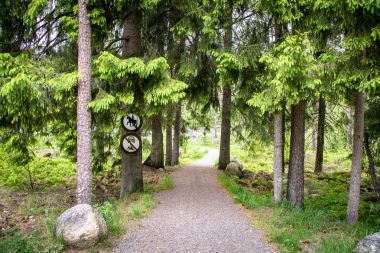 Yol ormanda sürme yok ve araç yok