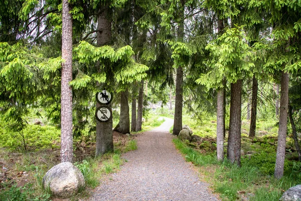 Yol ormanda sürme yok ve araç yok