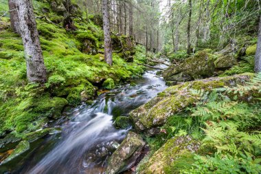 Su akışı bir akıştaki uzun pozlama
