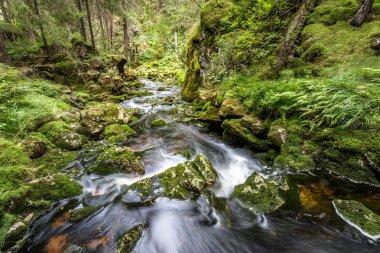 Water flow in a stream, long exposure clipart