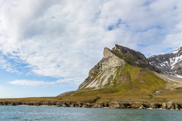 Alkehornet aka Alkhornet aka Alkepynten, vogel berg in Spitsbergen, Noorwegen — Stockfoto