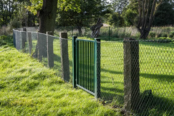 Metallgitterzaun mit grünem Tor in grüner Umgebung — Stockfoto