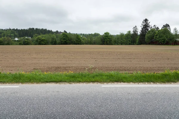 Un campo marrone con file arate di terra accanto a una striscia d'erba e una strada asfaltata — Foto Stock