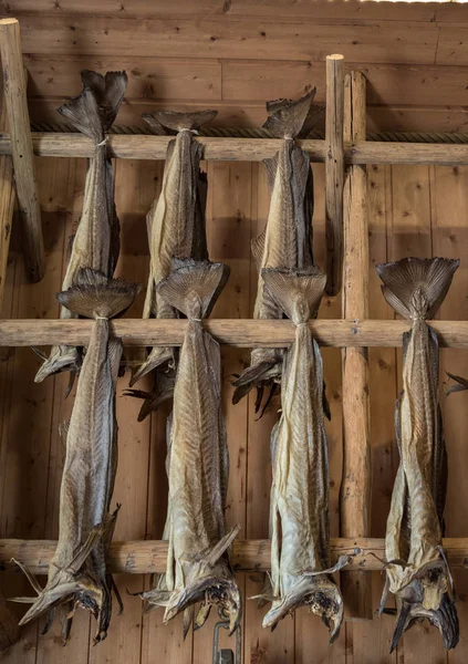 Dryfish hanging inside on wooden racks in Lofoten Islands, Norway, Europe. Vertical image. — Stock Photo, Image