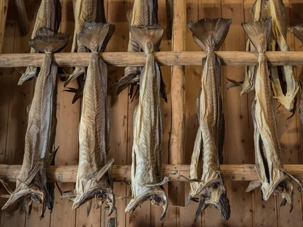 Dryfish hanging inside on wooden racks in Lofoten Islands, Norway, Europe. Horizontal image. — Stock Photo, Image