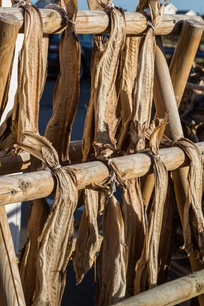 Dryfish hanging outside on wooden racks in Lofoten Islands, Norway, Europe. Vertical image. — Stock Photo, Image