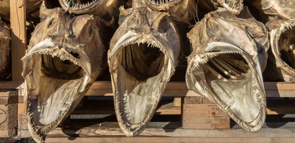 Three dried fish heads from cod stacked on a pallet — Stock Photo, Image