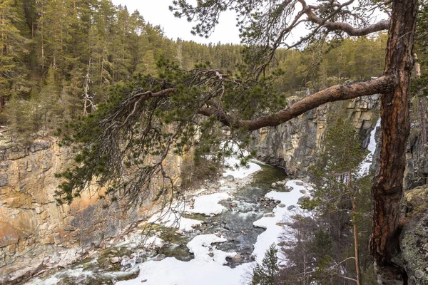 Río Jora en Dombaas, Oppland en Noruega . — Foto de Stock