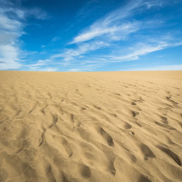 Maspalomas Dunes kum, Gran Canaria, İspanya üzerinde küçük bir çöl. Kum ve gökyüzü.
