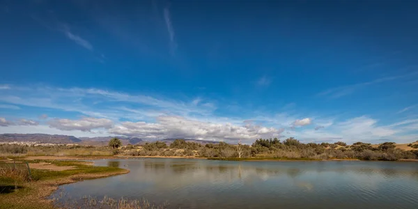 La charca, Vogelbeobachtungsort und Naturschutzgebiet in Maspalomas auf Gran Canaria, Spanien — Stockfoto