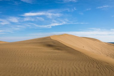 Maspalomas Dunes kum, Gran Canaria, İspanya üzerinde küçük bir çöl. Tepenin üstüne rüzgarda üfleme kum.