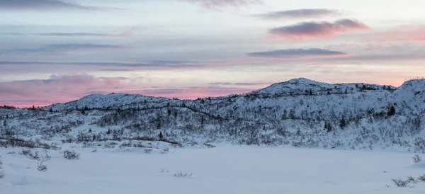 Tôt le matin rose, paysage de montagne d'hiver. Panorama . — Photo