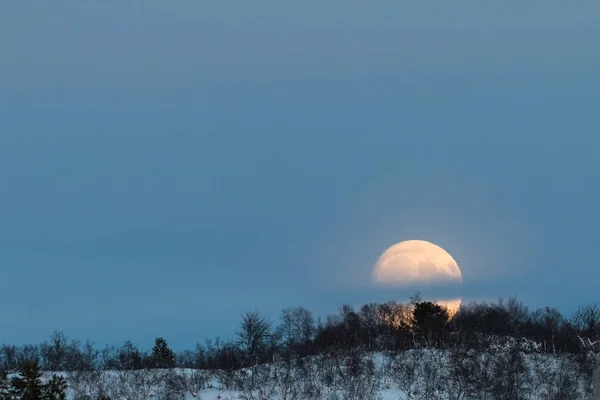 Nagy moon rising mögött egy hegy, néhány nyírfa, a téli táj, a hó, setesdali, Norvégia — Stock Fotó