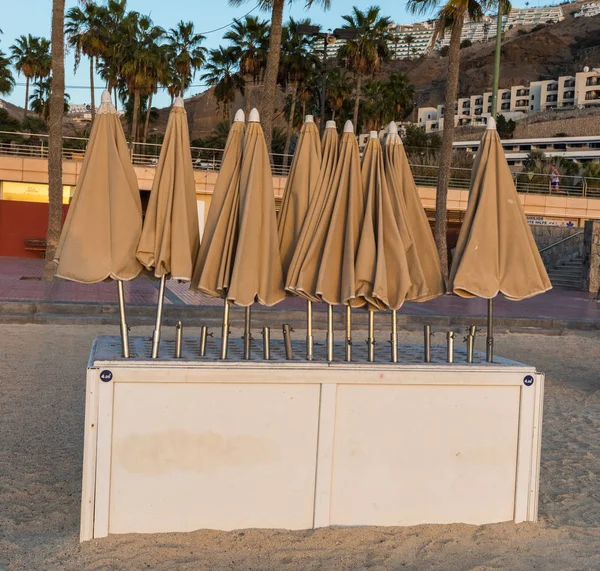 Parasole do wynajęcia, na popularnej plaży Amadores. Amadores, Gran Canaria, Hiszpania — Zdjęcie stockowe