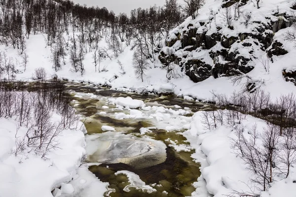 Un río de invierno en las montañas de Setesdal, Noruega. Río está rodeado de árboles, nieve y hielo — Foto de Stock